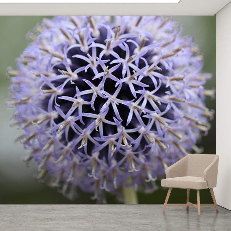 Globe Thistle Full Size Wall Covering for Living Room Plant Mural, Moisture-Resistant
