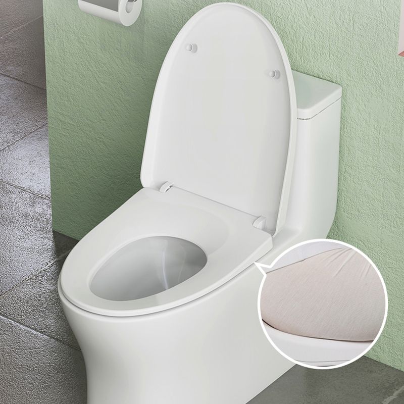 Modern Floor Mounted Toilet Slow Close Seat Included Toilet Bowl for Bathroom
