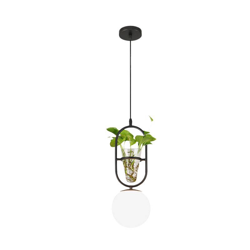 Elliptical Iron Pendant Lamp Loft 1 Light Bedroom Hanging Light in Black/Grey/Gold with Sphere Cream Glass Shade and Plant Cup