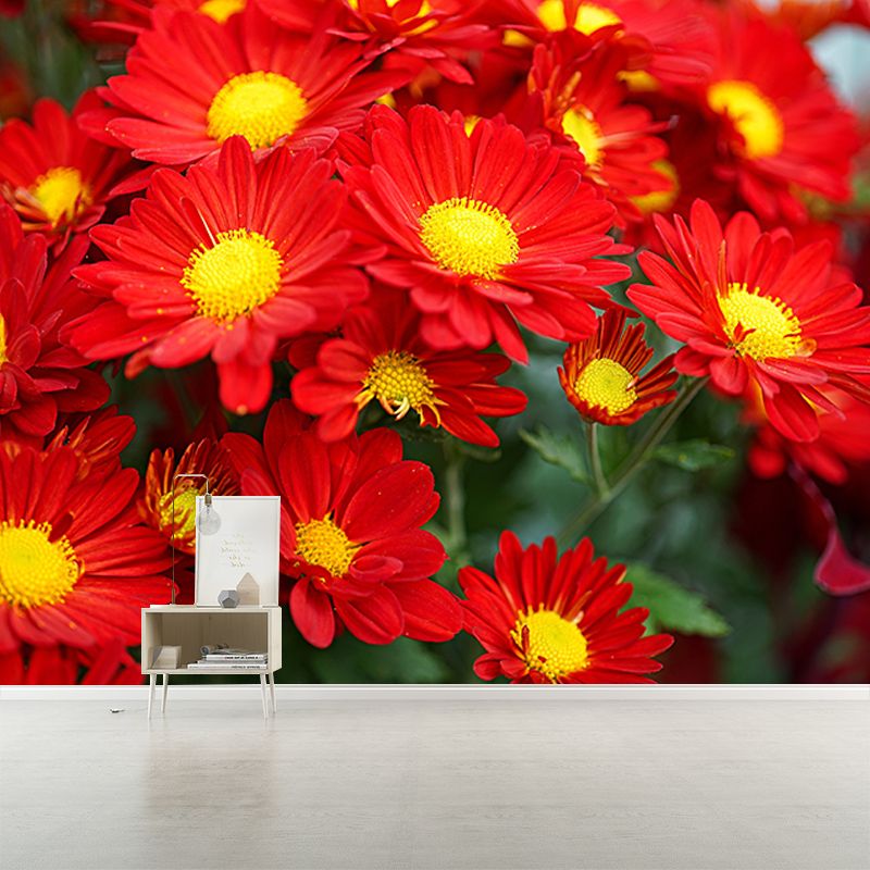 Elegant Chrysanthemum Murals Modern Wall Covering for Sitting Room, Water Resistant