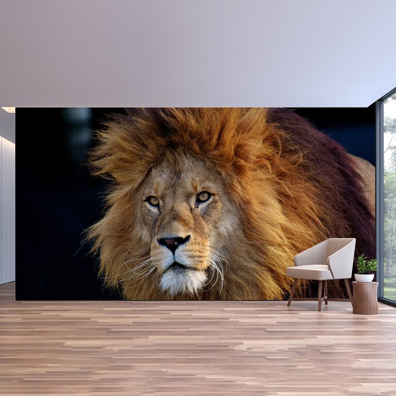 Customized Lion Mural Contemporary Photography for Bedroom Living Room