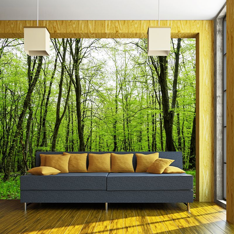 Forest Wall Mural for Sitting Room Bedroom Home Decor, Made to Measure