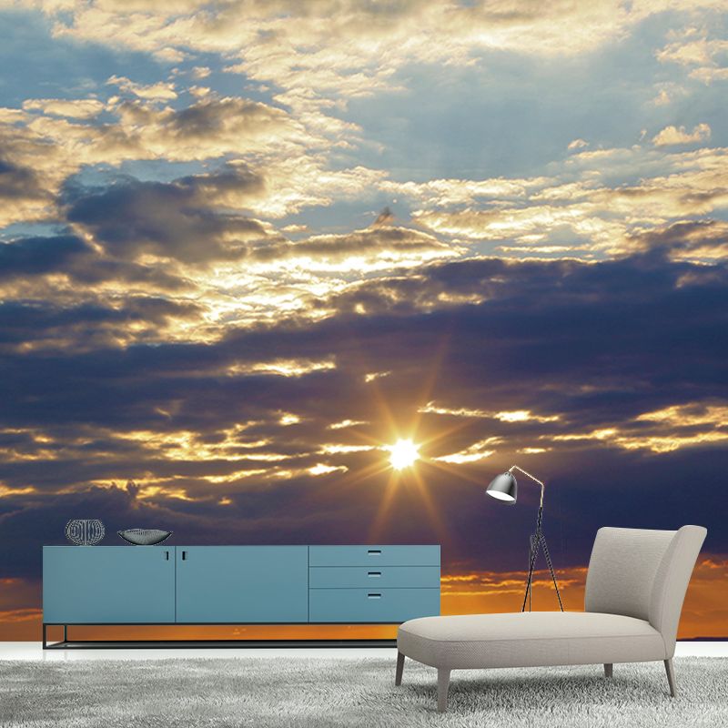 Sitting Room Wall Mural Mildew Resistant Sky Mural Photography