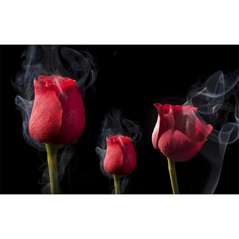 Red and Black Mural Wallpaper with Rose Bud Design Stain-Resistant Wall Art for Accent Wall