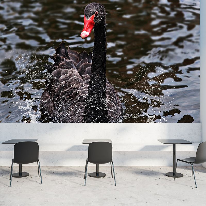 Black Swan Wallpaper Mural Decal Customized Modern Wall Covering for Bedroom