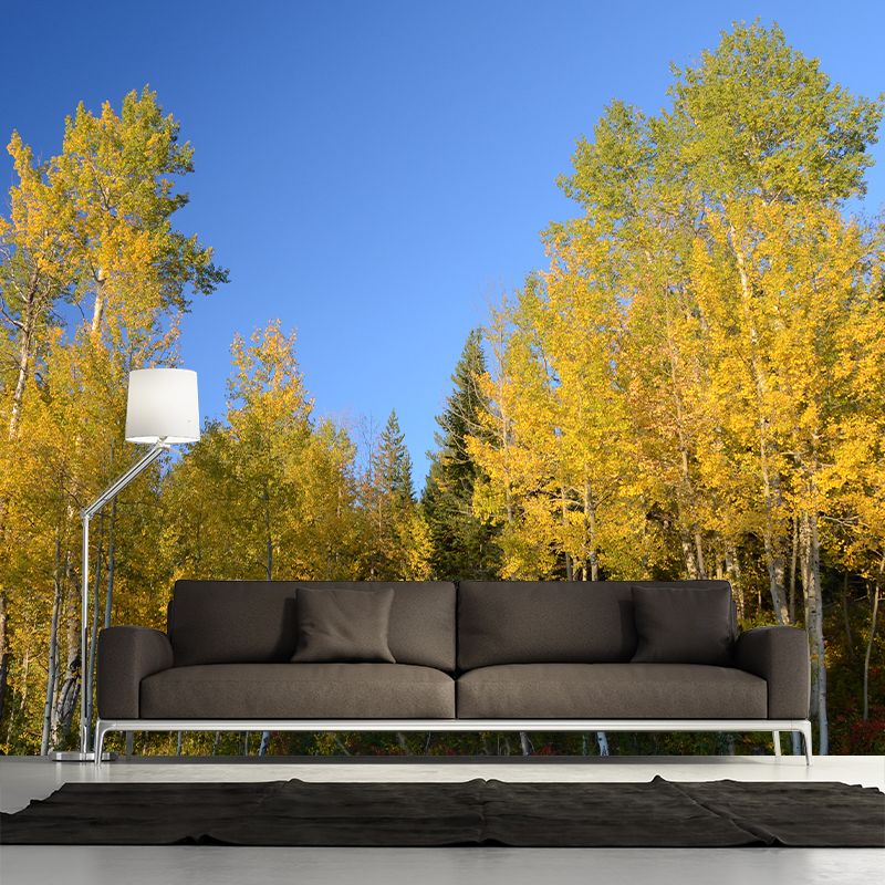 Forest Wall Decor Stain Resistant Wall Covering for Dining Room, Stain Resistant