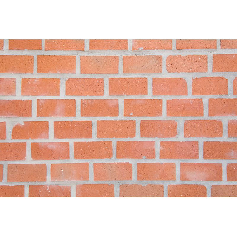 Classical Brick Wall Mural Wall Decor for Sitting Room, Water Resistant