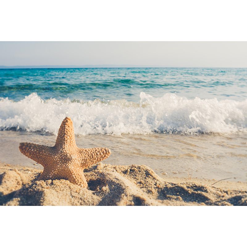 Huge Sea Mural Decal Photography Style Moisture Resistant for Sitting Room