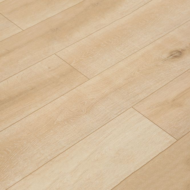 Contemporary Laminate Flooring Light Color Wooden Laminate Flooring