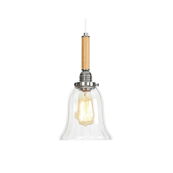 Globe/Cone/Small Bell Pendant Lighting Vintage Clear Glass 1 Licht Roségoud/Chrome hangende lamp met verstelbaar koord