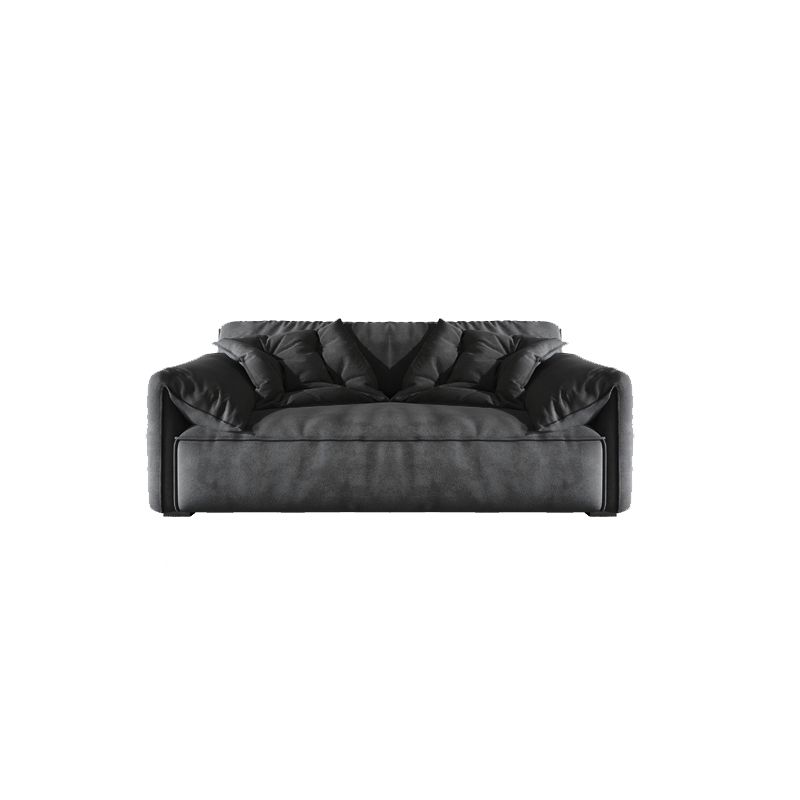 Stain Resistant Stationary 2-seater Pillow Top Arm Cushions Sofa