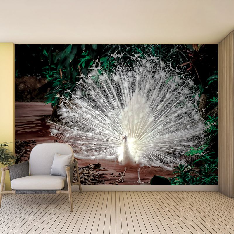 Peacock Mural Wallpaper Water Resistant for Sitting Room, Custom Size Available