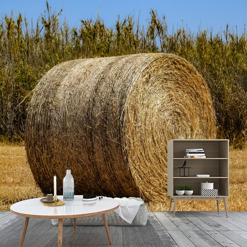 Light Color Straw Bale Mural Decal Wall Covering Mildew Resistant for Dining Room