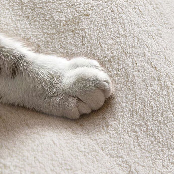 Blue Contemporary Carpet Polyester Abstract Rug Anti-Split Backing Indoor Carpet for Home Decor