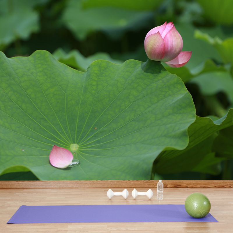 Green Lotus Leaf Mural Wallpaper Stain Resistant Wall Covering for Living Room