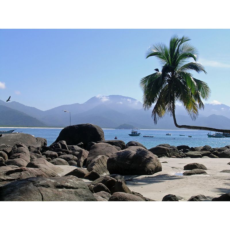 Modern Style Mural Wallpaper Tropical Landscape Environment Friendly Bedroom Wall Mural