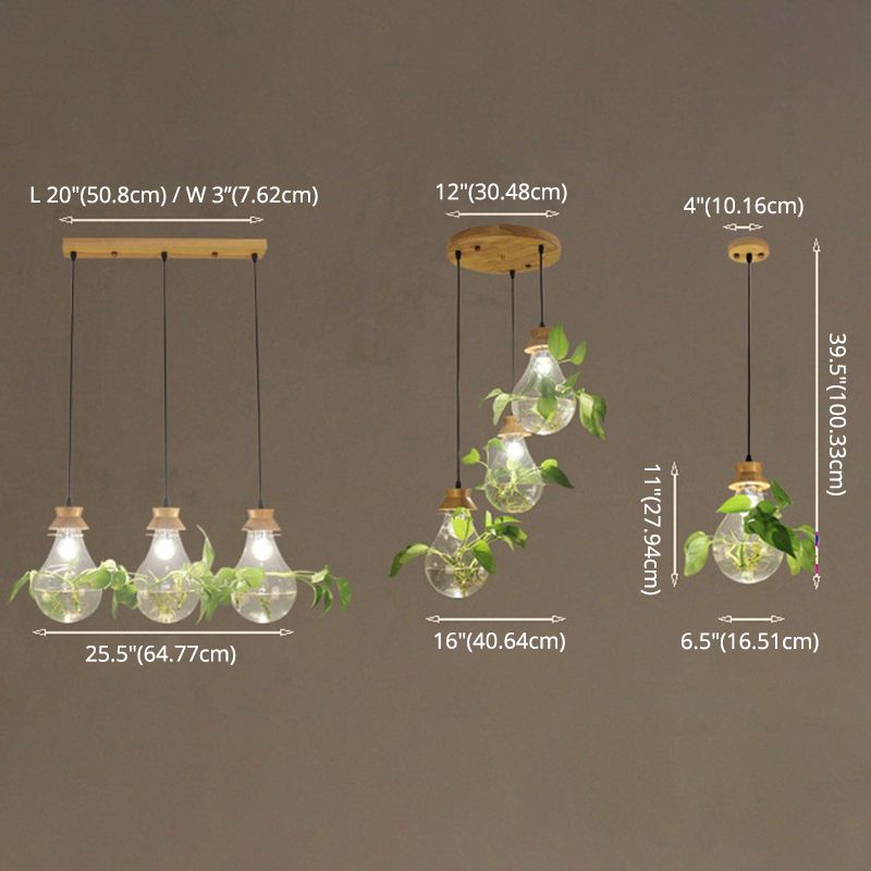 Contemporary Design Bulb Glass Shade Hanging Lamp Hydroponics Plant Drop Pendant for Coffee Shop