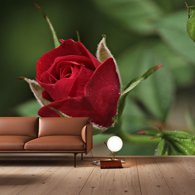 Elegant Rose Flower Photo Mural Modern Smooth Wall Covering in Red, Water Resistant