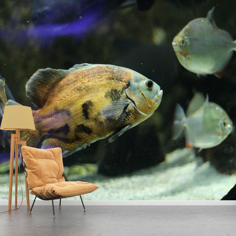 Beautiful Undersea World Mural Decal for Indoor Decor, Custom Size Available