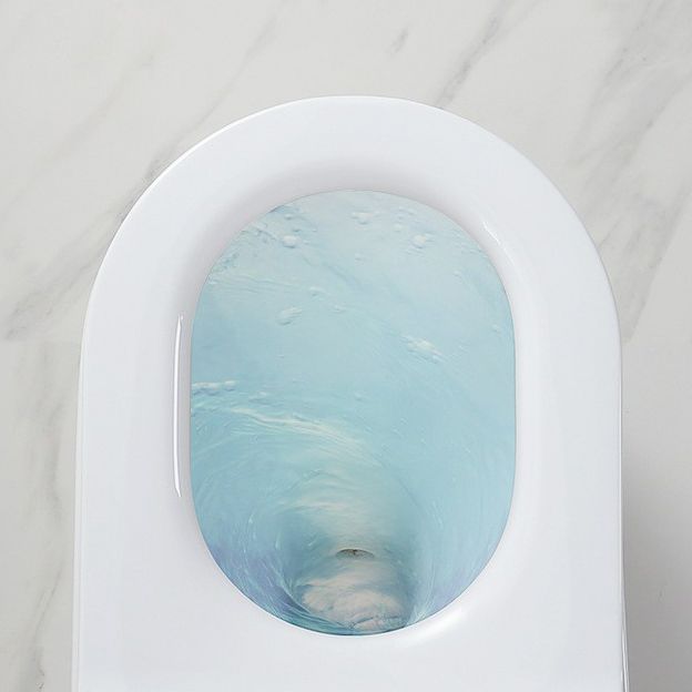 Traditional 1 Piece Flush Toilet Floor Mounted Urine Toilet for Bathroom