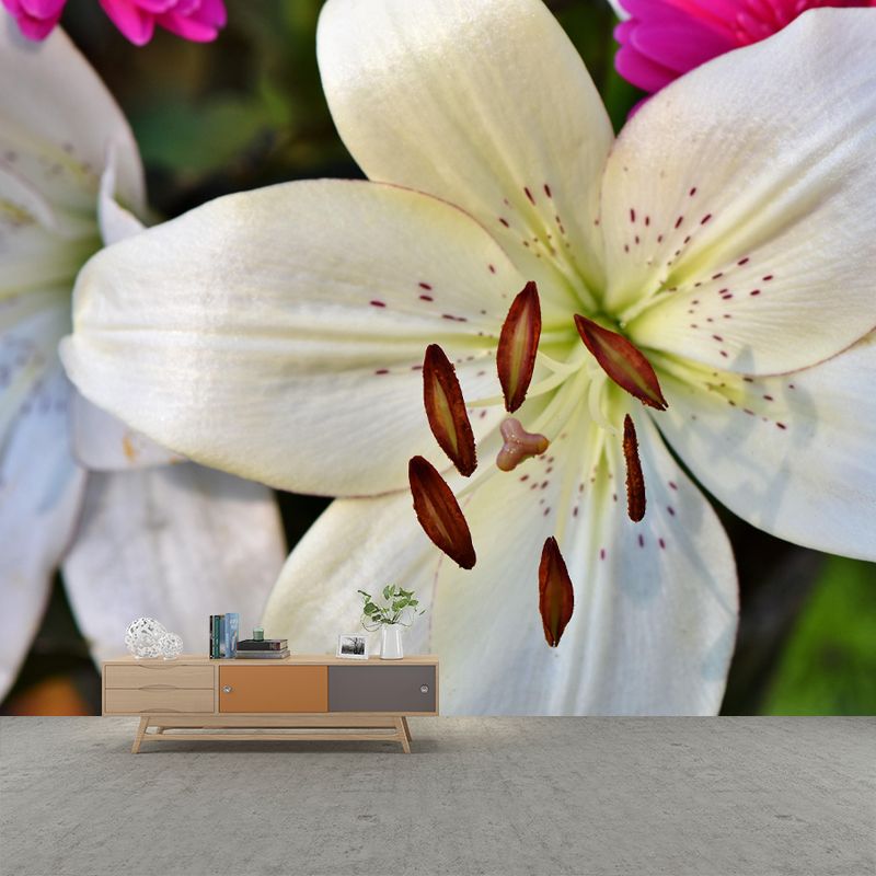 Customized Blooming Lily Mural Wallpaper Contemporary for Guest Room Decor