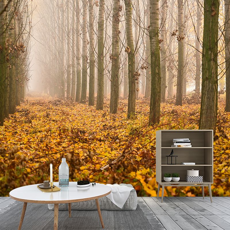 Forest Tree Wall Art Decor for Sitting Room Moisture Resistant Mural, Made to Measure