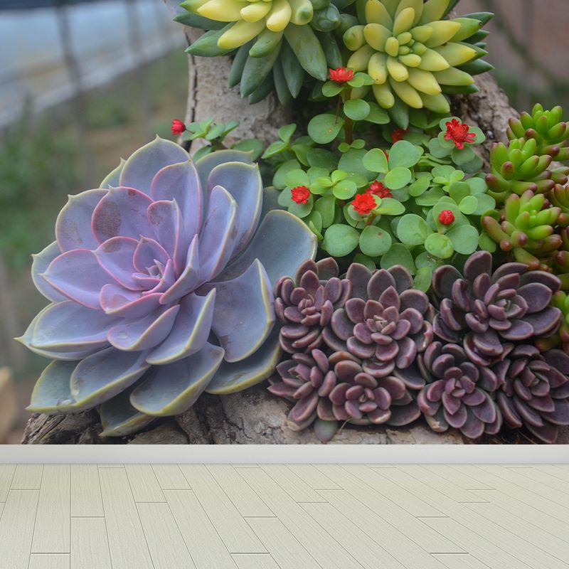 Modern Green Plant Wall Mural with Succulent Potted Plants Pattern for Bar Decoration