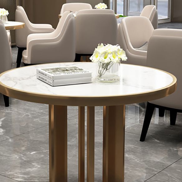 Modern Sintered Stone Dining RoomSet with Round Table and Metal Base Dining Table Furniture