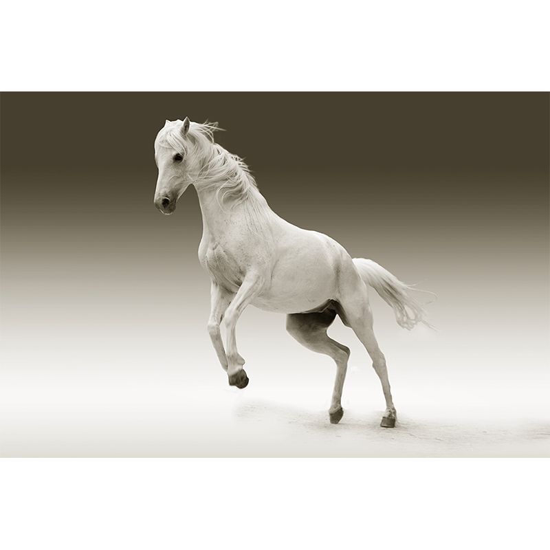 Galloping Horse Animal Mural Wallpaper for Sitting Room, Water Resistant
