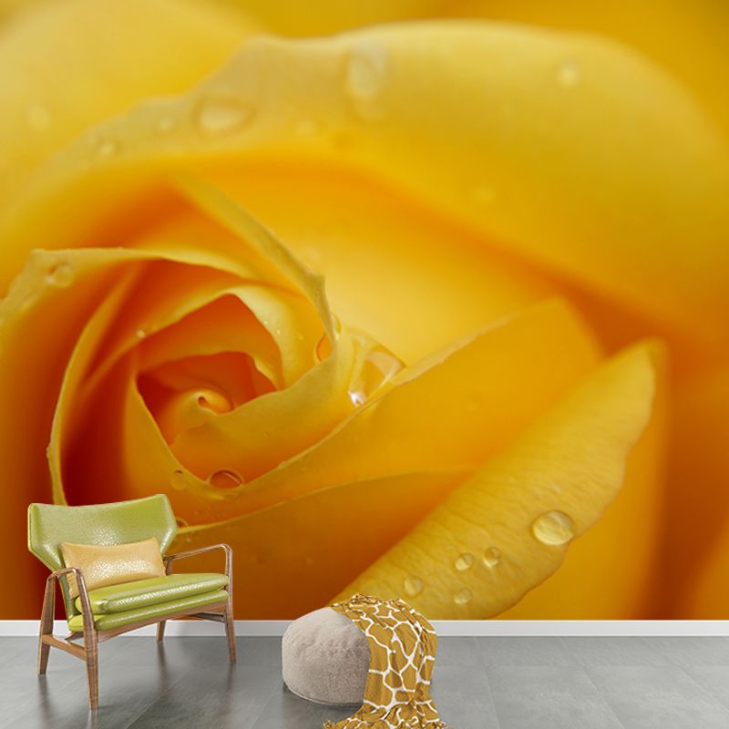 Photography Stain Resistant Mural Wallpaper Roses Living Room Wall Mural