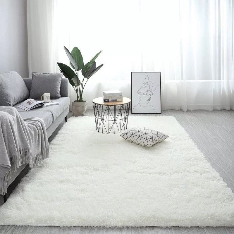 Novelty Plain Shag Carpet Polyester Indoor Rug Non-Slip Backing Area Carpet for Living Room