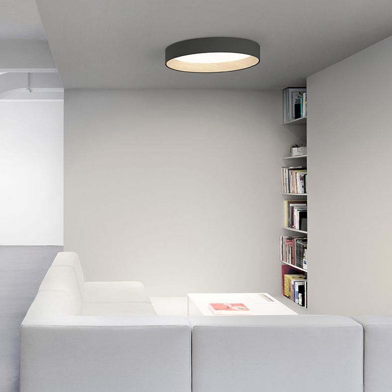Minimalism Aluminum LED Ceiling Mounted Light Cylinder 1-Light Flush Light for Living Room
