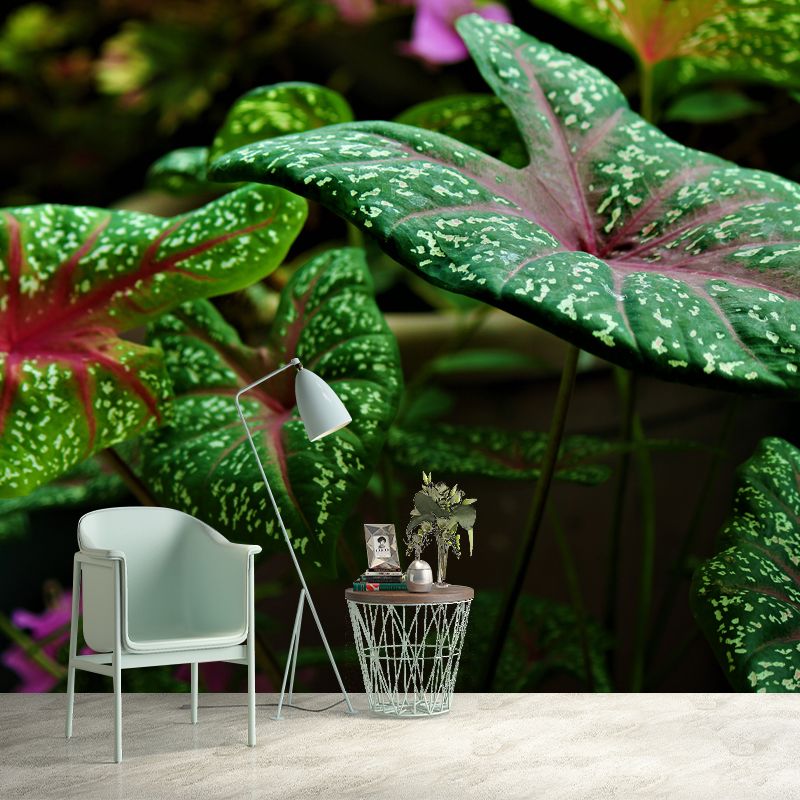 Green Caladium Mural Decal Moisture Resistant for Reading Room, Made to Measure