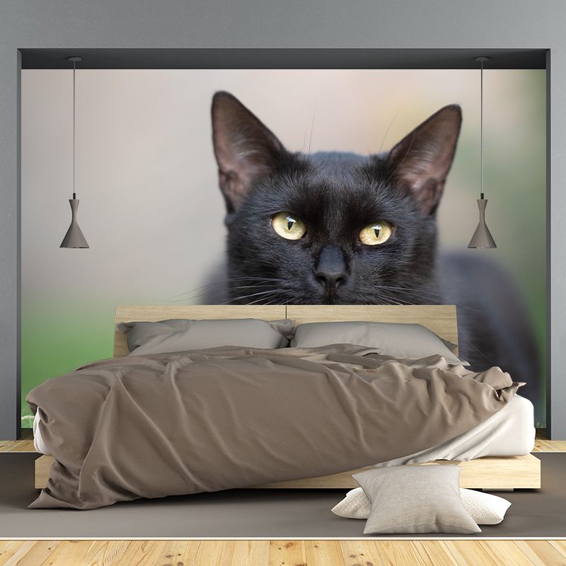 Customized Cat Wall Mural Wallpaper Horizontal Photography for Sitting Room