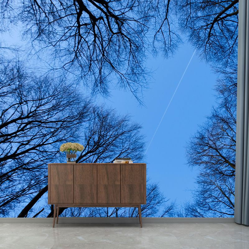 Natural Scenery Forest Wall Mural Wallpaper Photography Mildew Resistant for Sitting Room