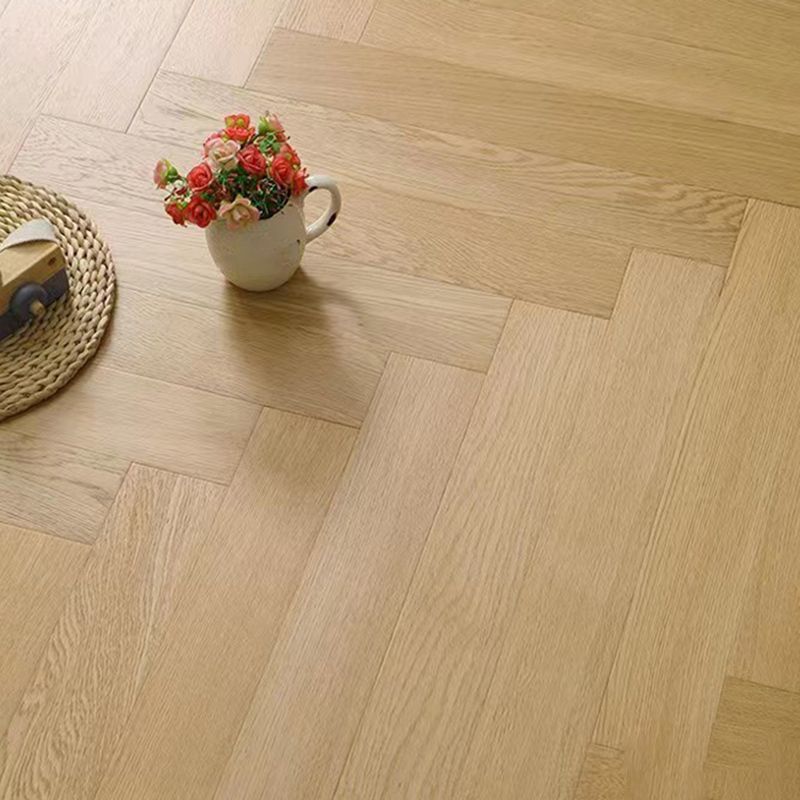 Solid Wood Laminate Floor Modern Simple Laminate Floor with Slip Resistant