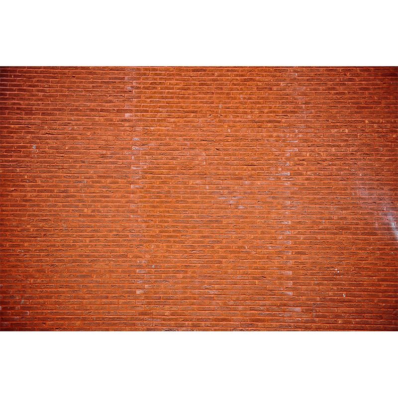 Industrial Style Brick Wall Covering Mural Stain Resistant, Customized Size