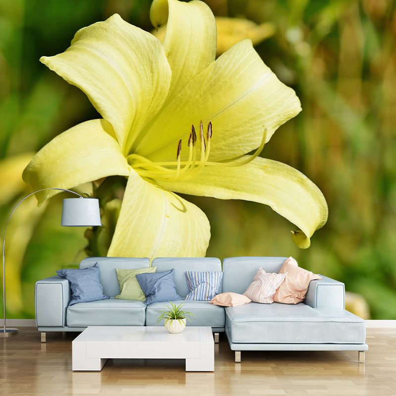 Modern Beautiful Lily Wall Mural Stain Resistant Wall Art for Living Room