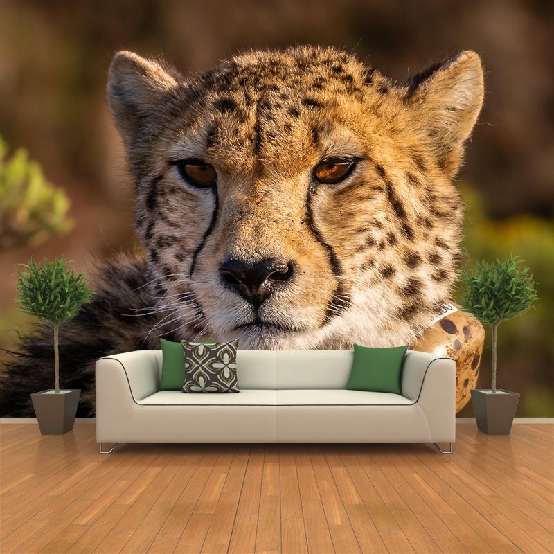 Fierce Cheetah Mural Wallpaper Decorative Contemporary Dining Room Wall Decor