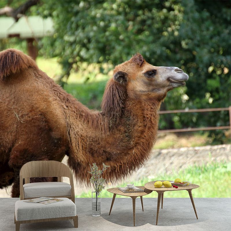 Camel Mural Wallpaper for Home Decor Living Room Bedroom, Made to Measure