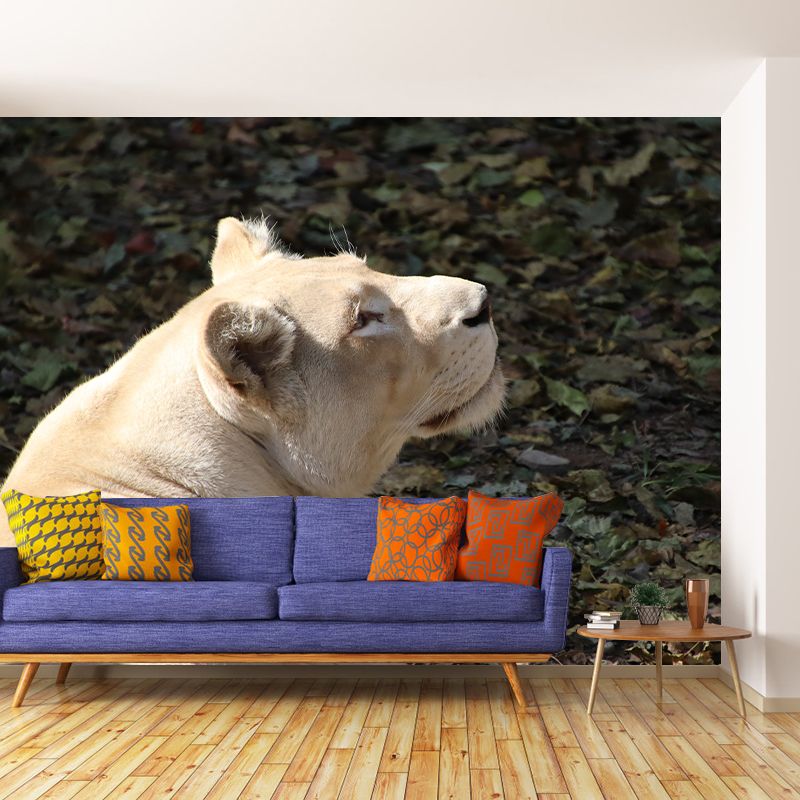 Lioness Animal Wall Mural Modernism Mildew Resistant Wall Decor for Living Room