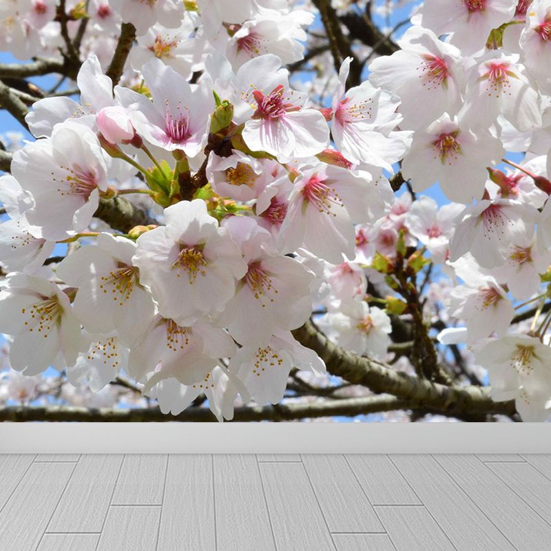 Moisture Resistant Cherry Wall Mural Non-Woven Modern Wall Decor for Dining Room