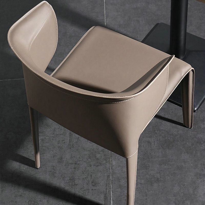 Metal Contemporary Indoor Chair with Leather Legs Matte Finish Side Chair for Dining Room
