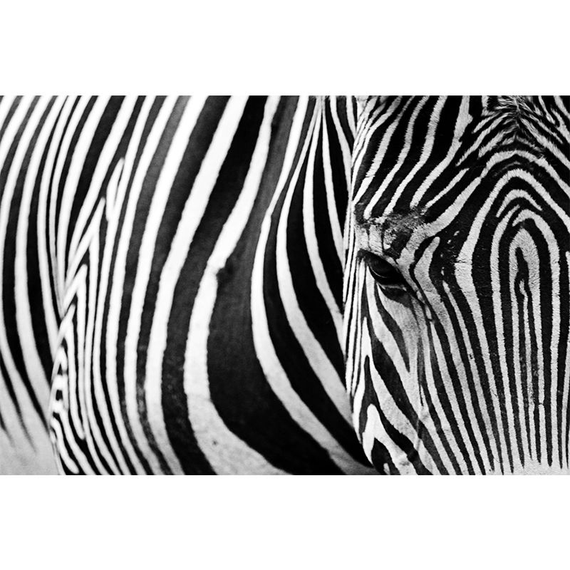 Black and white Geometry Mural Decal Dining Room Wall Decor, Custom Size Available