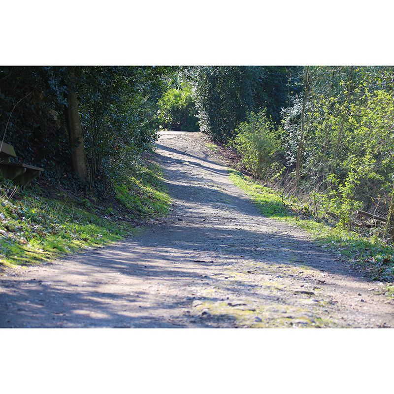 Customized Photography Space Extension Mural Eco-friendly Wallpaper for Wall Decor