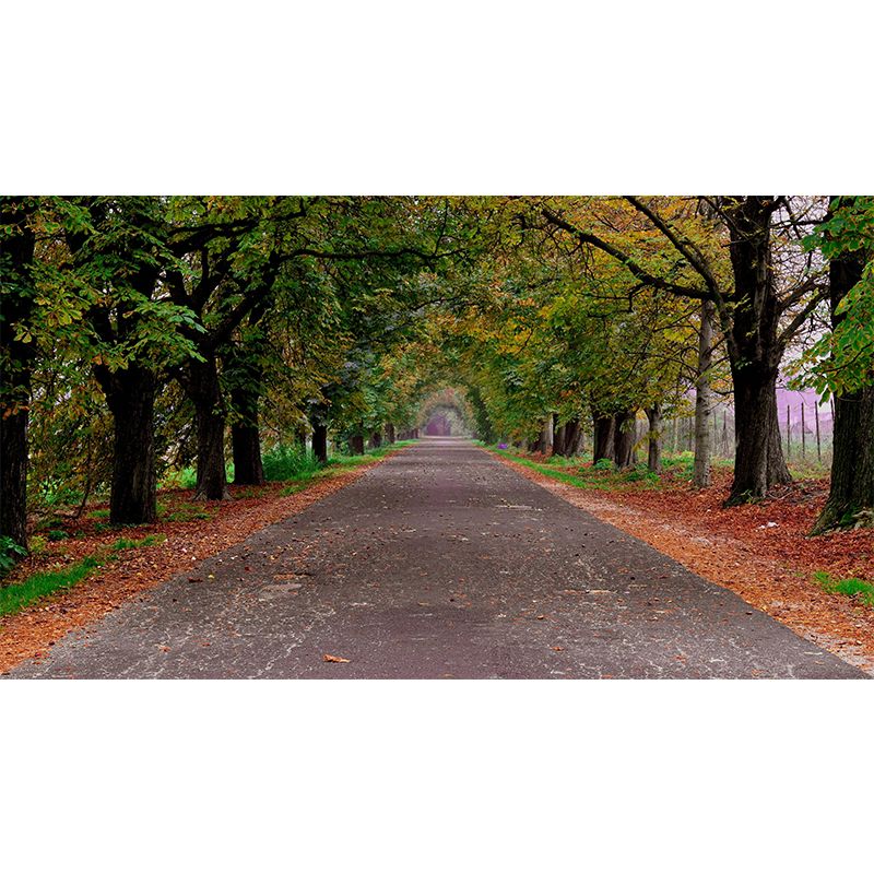 Space Extension Bedroom Mural Wallpaper Photography Mildew Resistant