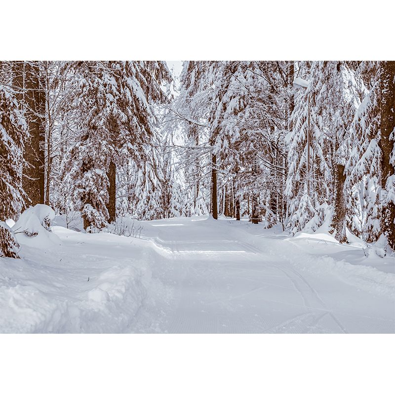 Photography Environment Friendly Mural Wallpaper Beautiful Forest Living Room Wall Mural