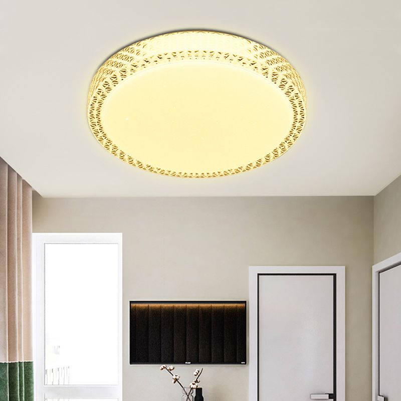 Modern Ceiling Light LED Ceiling Mount Light with Acrylic Shade for Living Room