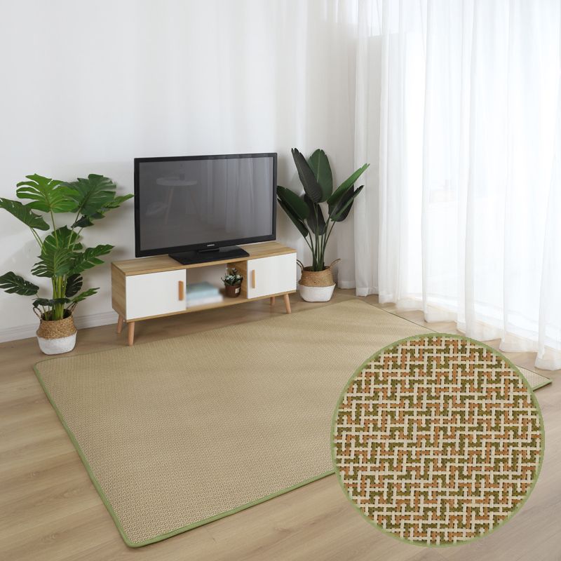 Brown Sisal Rug Polyester Countryside Rug Washable Rug for Living Room