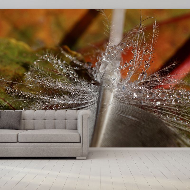 Customized Horizontal Photography Feather Mural Eco-friendly for Home Decor